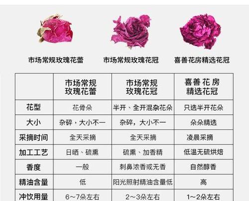 玫瑰花各品种有何不同含义？