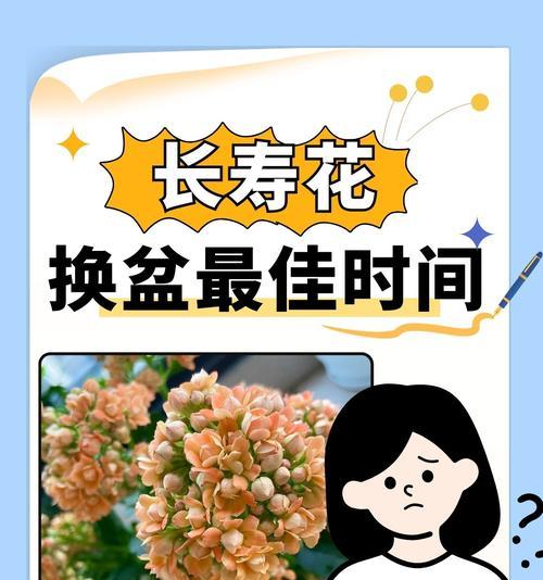 花卉种植中植料的作用是什么？植料在花卉生长中的重要性如何？