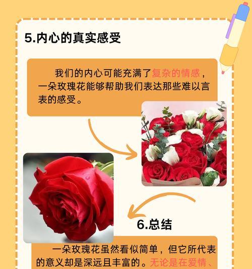 15朵玫瑰的花语和含义是什么？