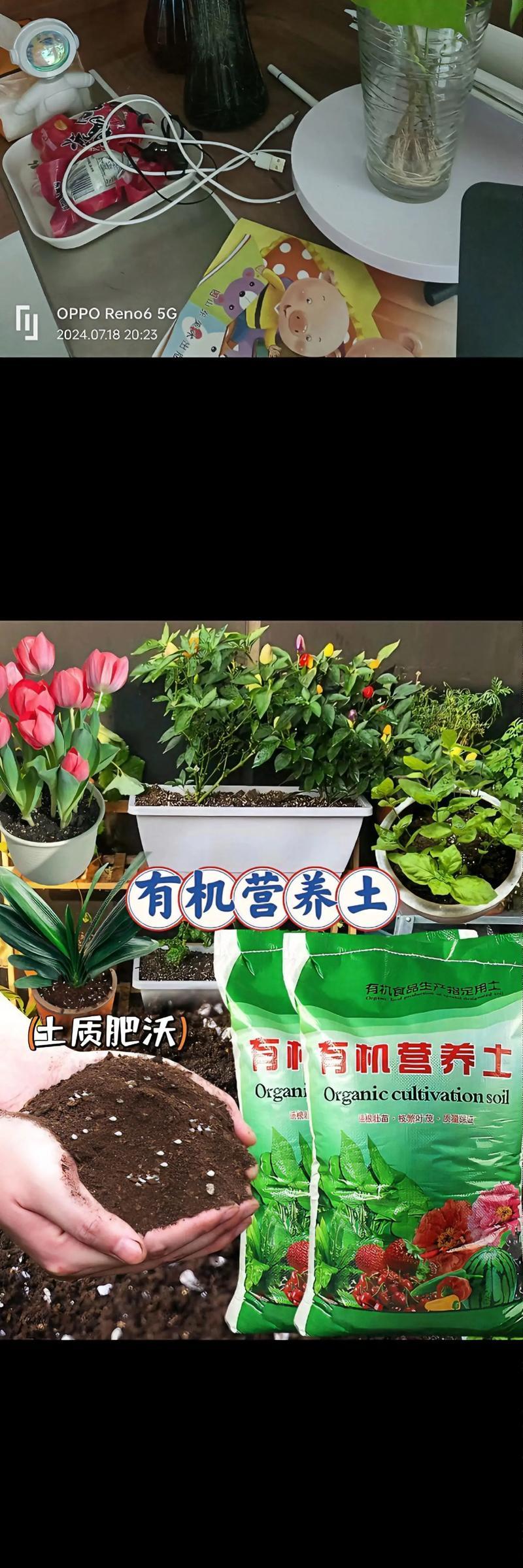养花人常用的花卉药有哪些？哪些花卉药对植物生长有益？