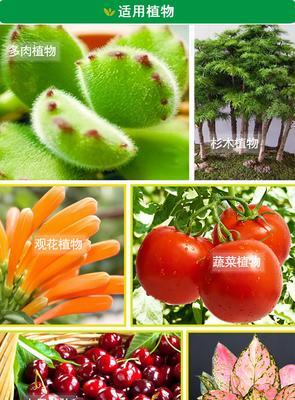 花卉肥料颗粒的配制标准是什么？如何正确配制？