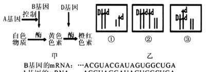 二倍体植物有哪些特性？如何鉴别二倍体植物？