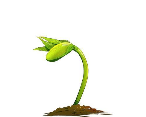春天萌芽的种子有哪些植物种类？