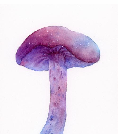 紫色植物进阶书有哪些？如何选择适合自己的紫色植物书籍？