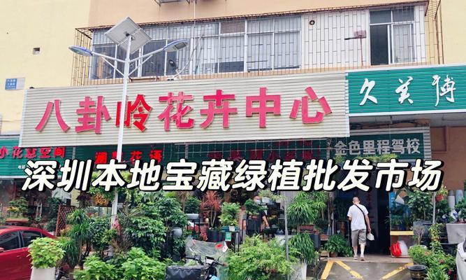 1号线附近有哪些花卉市场？这些市场提供哪些特色服务？