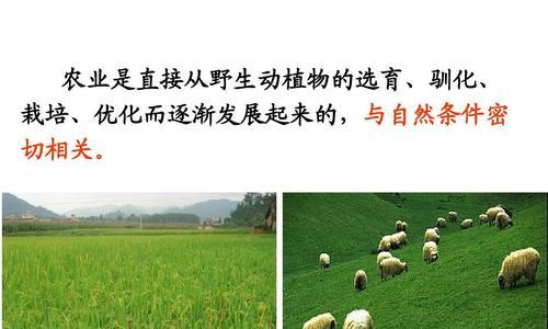 驯化植物需要多长时间？野生植物到驯化植物的转变过程是怎样的？