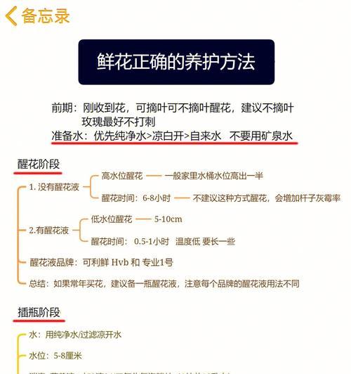 园区常见的花草植物有哪些？它们的养护方法是什么？