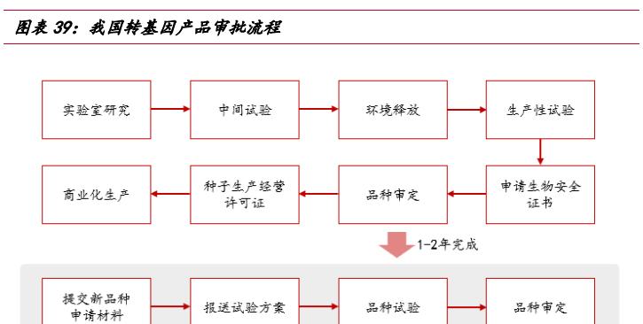 转基因植物的种类有哪些？它们的应用领域是什么？