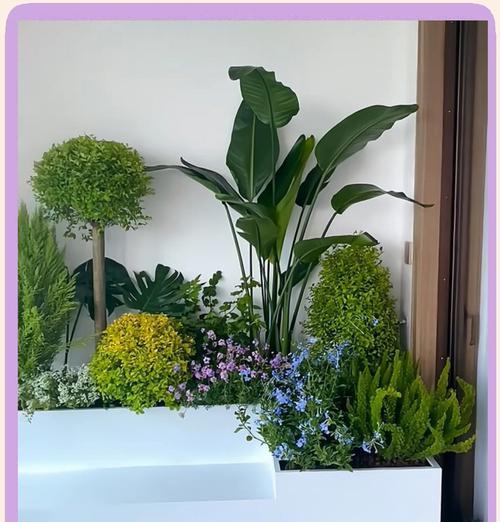 海口阳台种植花卉有哪些推荐？如何在海口阳台种植花卉？