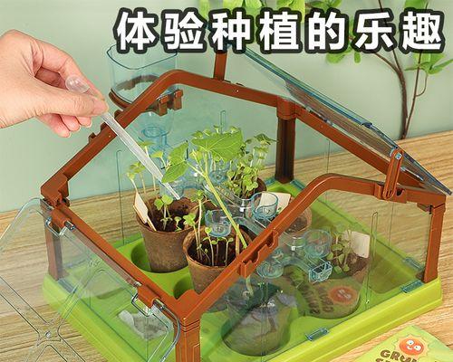 DIY种植植物有哪些简单方法？
