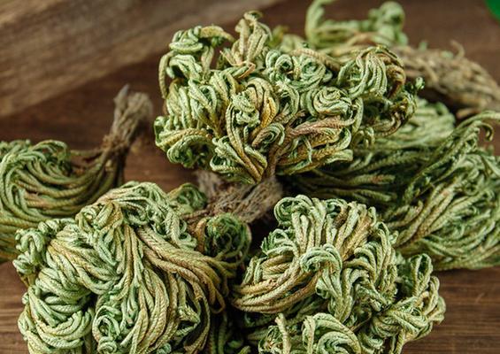 如何确定植物的药性？给植物定药性的方法有哪些？
