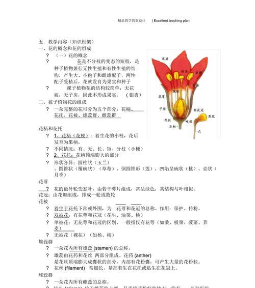 如何区分植物的不同器官？