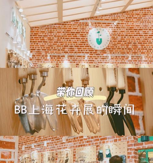 新友花卉连锁店的分布情况如何？有哪些特色服务？