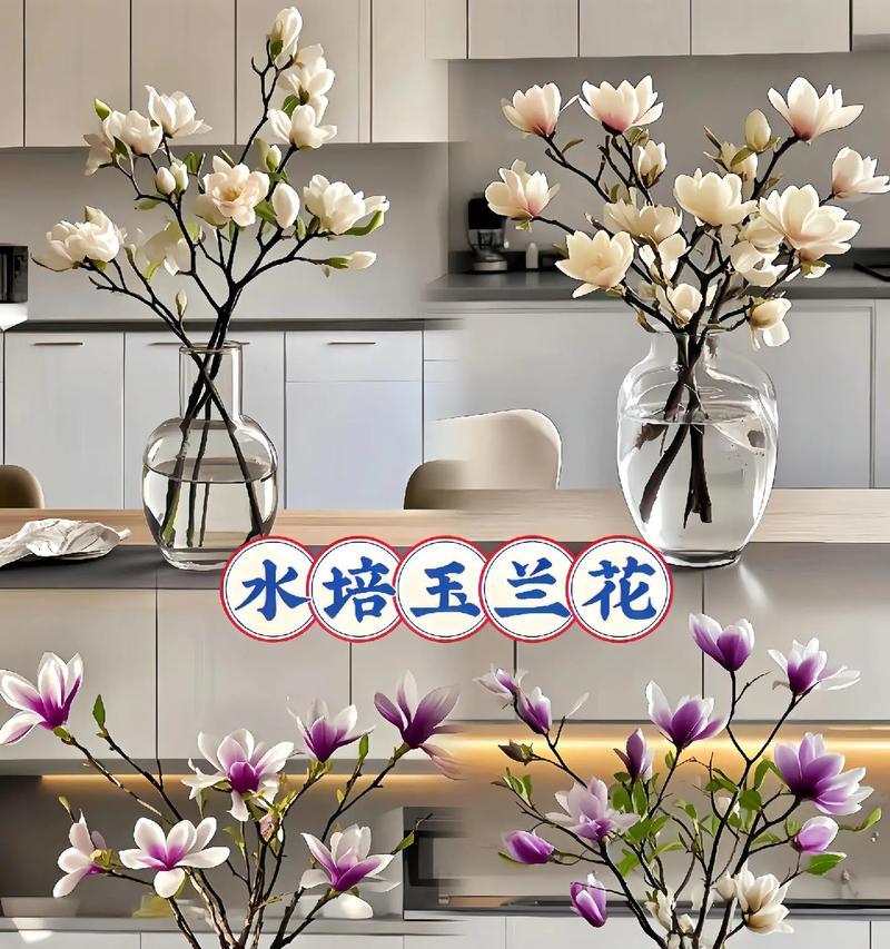 哪些花卉适合单株水培？水培花卉的养护方法是什么？
