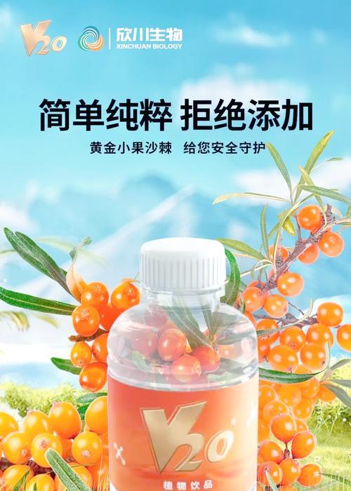 沙棘树耐阴吗？如何养护才能使其生长良好？