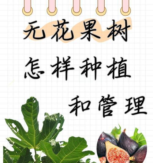 花卉种植时应使用哪种覆盖土壤？覆盖土壤的好处是什么？