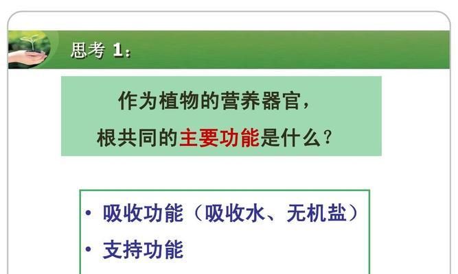 植物营养水怎么用？使用方法和注意事项是什么？