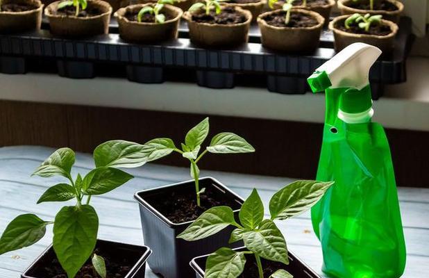 植物营养水怎么用？使用方法和注意事项是什么？