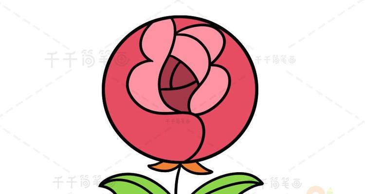 有遮挡的圆形花卉叫什么？如何正确识别？