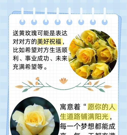 被丢弃的花朵象征着什么？花语中隐藏着怎样的信息？
