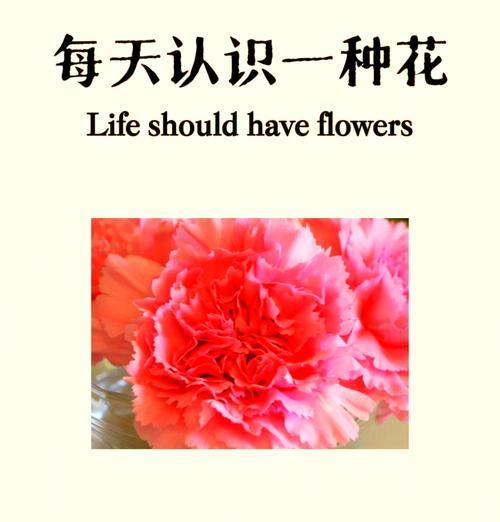 康馨花代表什么？它的花语有何特别之处？