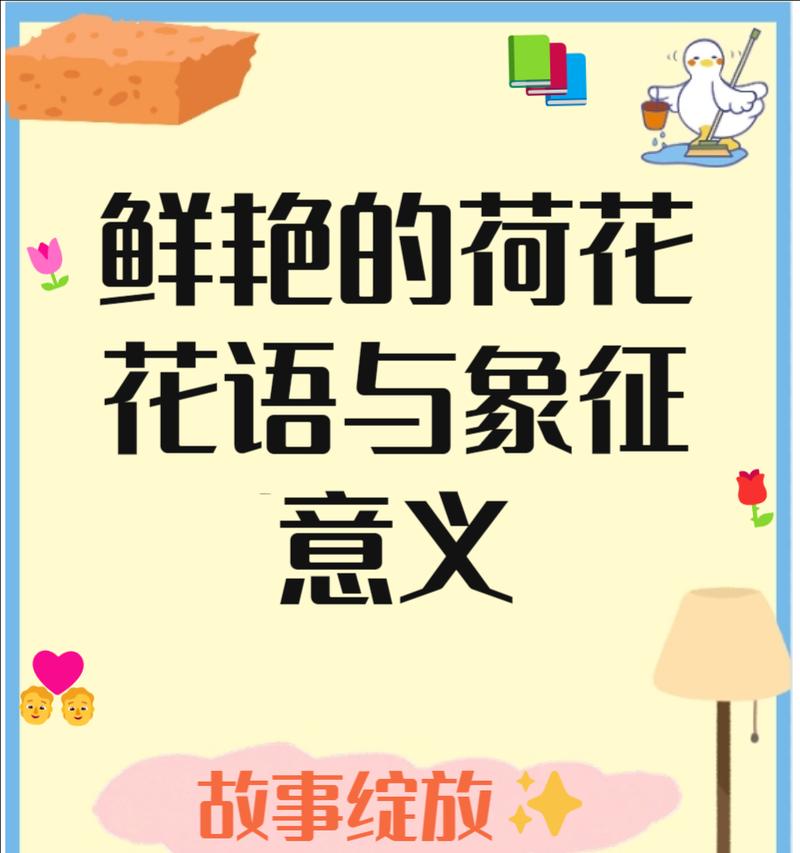 荷花主题的花语是什么？荷花主题代表什么？