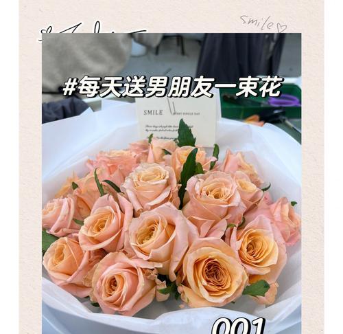 微光在花语中代表什么？