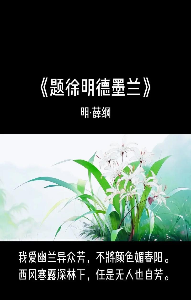 墨兰的花语有哪些？