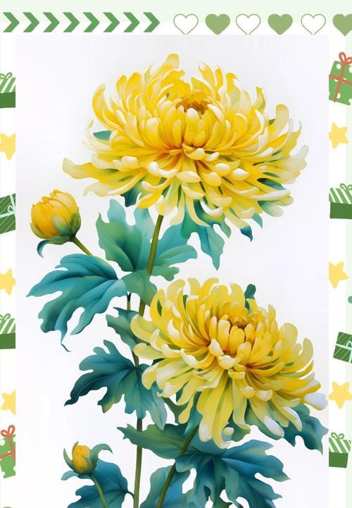 粉菊花的花语有哪些含义？