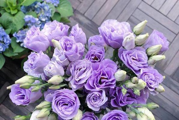 紫色桔梗花的花语有哪些含义？