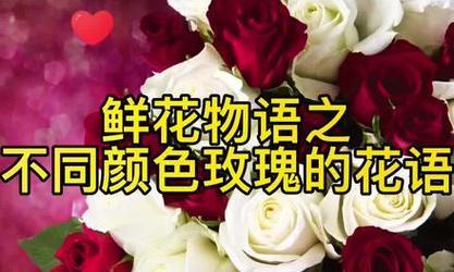 桃花公主花语代表了哪种花？