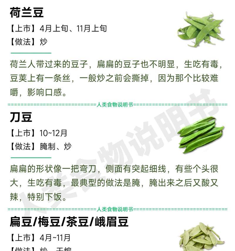 豆角子花语代表了哪些情感？