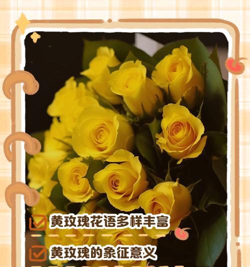 玫瑰花特殊寓意是什么？卖苹果祝福老板的花语又是什么？