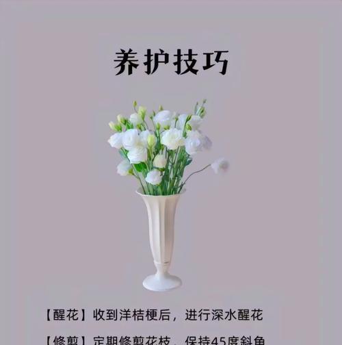 洋桔梗的花语有哪些深层含义？