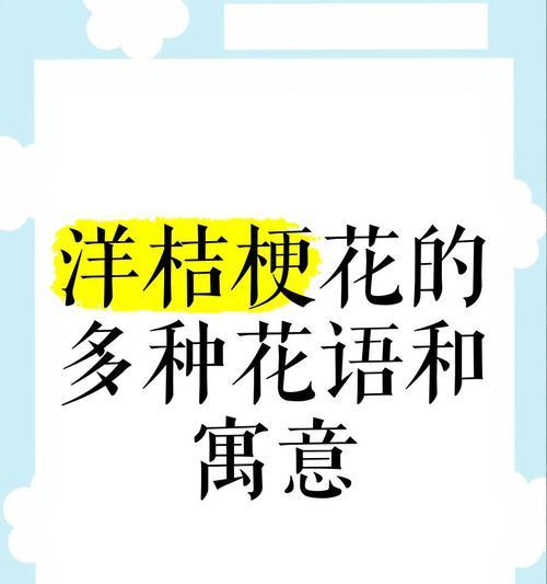 洋桔梗的花语有哪些深层含义？