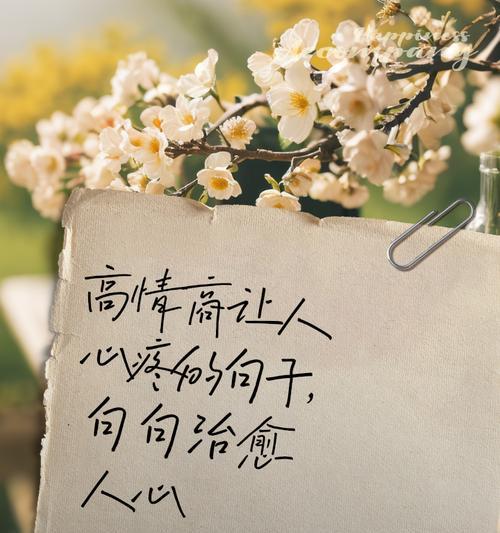 一人一句花语如何表达情感？有哪些花语适合单独使用？
