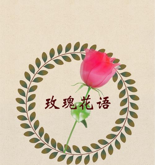 不花钱的花语是什么？这种花语有何独特之处？