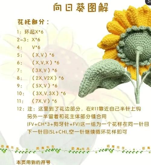 向日葵第四圈的花语有何深意？