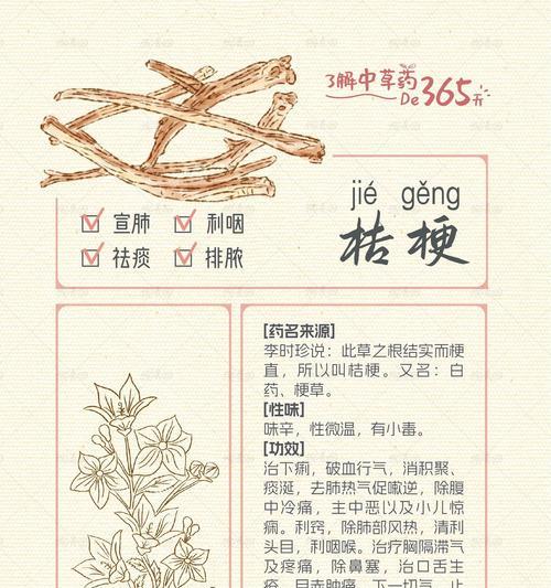 桔梗花语的真正含义是什么？