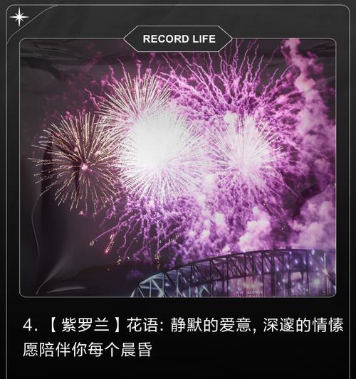 礼貌又不失浪漫的花语是什么？哪种花语最能体现这一特点？