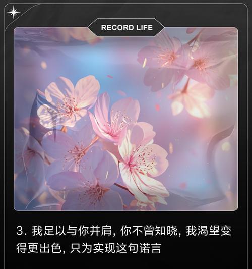 礼貌又不失浪漫的花语是什么？哪种花语最能体现这一特点？
