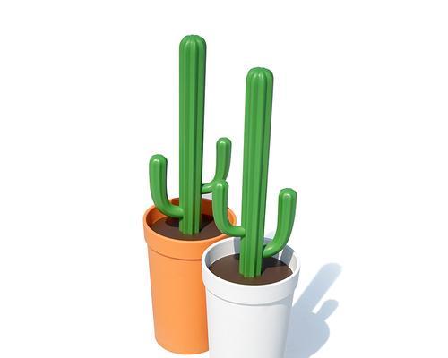 马桶里种植仙人掌可行吗？需要注意什么？