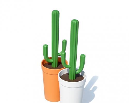 马桶里种植仙人掌可行吗？需要注意什么？
