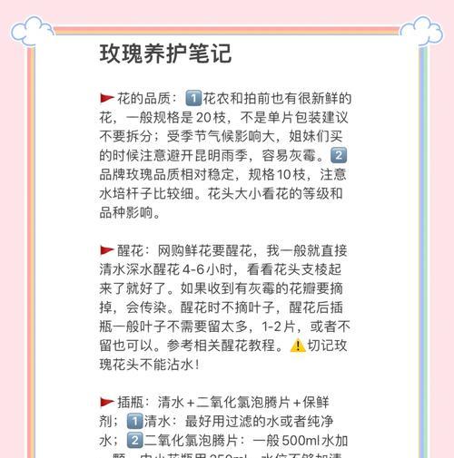 玫瑰花有花苞后如何进行养护？