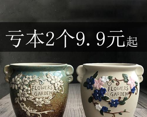 淘瓷仙人球花盆的选择方法是什么？如何选择适合的花盆？