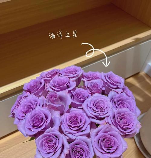 买来的玫瑰花如何进行养护？怎样延长其花期？