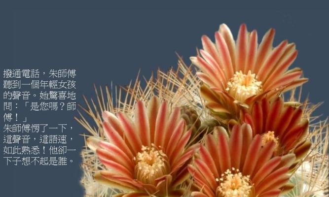 仙人掌花爬藤的养殖方法是什么？