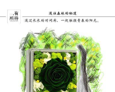 玫瑰花棒棒长杆的正确养护方法是什么？
