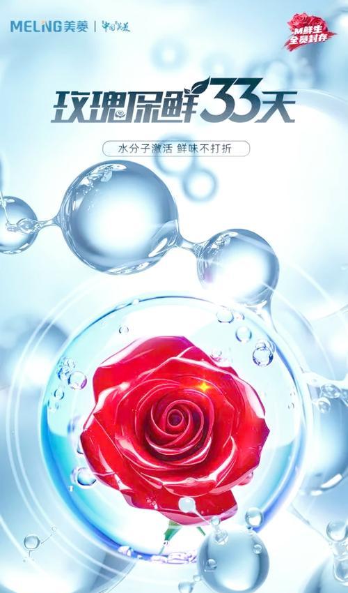玫瑰花为何能长时间保持新鲜？