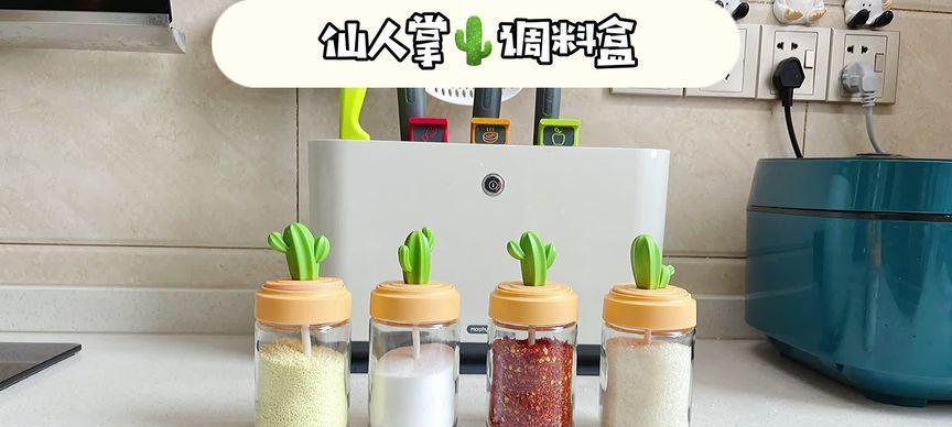 木盒子种植仙人掌的方法是什么？
